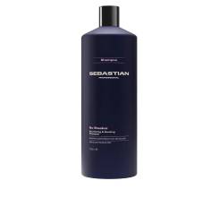 Sampon nutritiv pentru par SEBASTIAN PROFESSIONAL NO.BREAKER 1000 ml