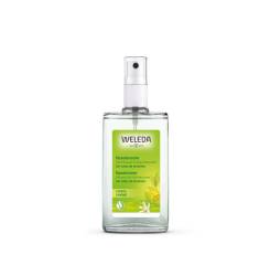 CITRUS desodorante 24h eficacia spray 100 ml