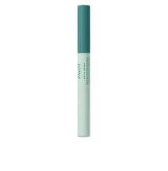 PÂTE GRISE stylo duo purifiant correcteur 2 x 3 ml