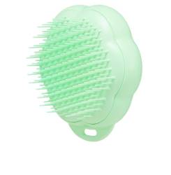 PET TEEZER CAT grooming brush 1 u