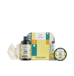 MANGO LOTE 5 pz