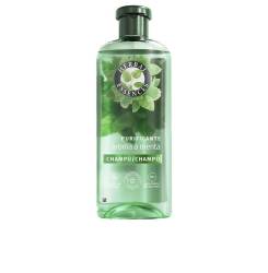 MENTA champú nutritivo 350 ml