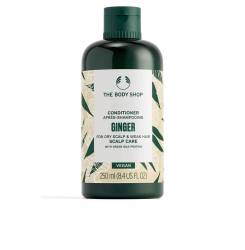 GINGER acondicionador 250 ml