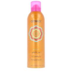 PERK UP champú seco 322 ml