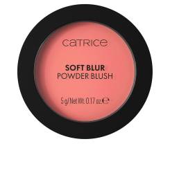 SOFT BLUR colorete en polvo #040-Pink Positive 5 gr