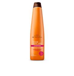 Acondicionador Repair Argán 350 ml