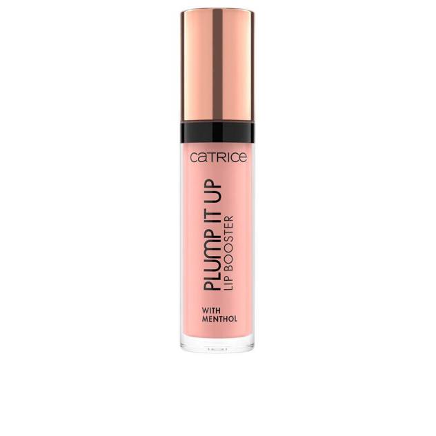 PLUMP IT UP lip booster #060-real talk 3,5 ml