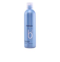 B2 silver shampoo 250 ml